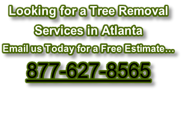 Looking for a Tree Removal  Services in Atlanta Email us Today for a Free Estimate… 877-627-8565