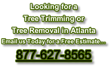 Looking for a  Tree Trimming or Tree Removal in Atlanta Email us Today for a Free Estimate… 877-627-8565